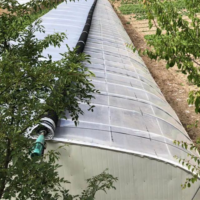 Serre tunnel solaire en poly personnalisée état neuf pour les fermes