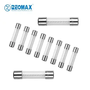 Reomax Glass Fuses 3.6x10mm 4x11mm 5x20mm 6x30mm Glass Tube Fuse 32mA-20A 250V/125V Quick Blow/Slow Blow Fuses