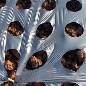 Fabricantes Directo Posición de agujero natural Capa de mantillo manual Protección de plantas Mantillo agrícola - Product Image 5