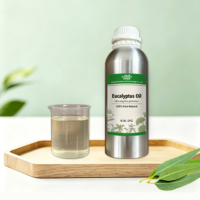Huile Essentielle d'Eucalyptus 100% Pure et Naturelle de Qualité Supérieure, Marque Blanche, Extrait Végétal en Vrac, Soin Hydratant pour la Peau, Parfum Doux