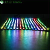 SK6812 WS2812B Modules LED RGBW flexibles 5050 P10 16x16cm 8x32cm Affichage matriciel pour l'éclairage de l'affichage LED de piste de danse
