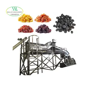 Hotsell Full Automatic Prune Raisin Washing And Drying Machine Plum Process Line Dried Mulberry Moisture Increasing Polishing