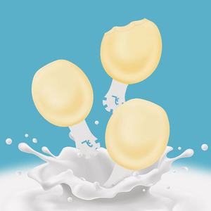 Saborizante de <span class=keywords><strong>Leche</strong></span> <span class=keywords><strong>Condensada</strong></span> en Polvo al por Mayor, Saborizante de Alimentos en Polvo para Bebidas Sólidas, <span class=keywords><strong>Galletas</strong></span>, Dulces - Product Image 3