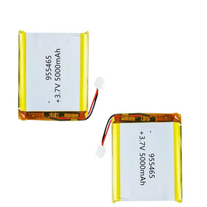 장난감용 전기 청소 브러시용 4000mAh 3.7V 솔리드 스테이트 리튬 배터리 - Product Image 3