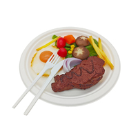 Assiettes jetables rondes en bagasse de 10 pouces sans PFAS, compostables et résistantes, idéales pour les steaks, les barbecues et la restauration