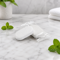 Tablettes de nettoyage multi-usages pour les voyages, tablettes nettoyantes effervescentes portables, paquet individuel pour la maison, l'hôtel et le camping