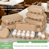 Caja de Embalaje para Huevos de Pulpa Biodegradable y Ecológica con Relieve, Cajas de Cartón Resistentes a Impactos y Caídas