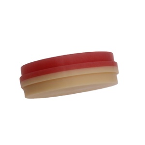 Disque PMMA double couleur, monocouche, rose et coloré, 98 mm, avec rayures sanguines pour structures dentaires (bridges, couronnes, arches complètes). - Product Image 2