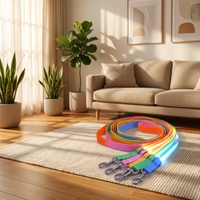 Kalung Leher LED Isi Ulang USB untuk Anjing Kecil, Tali Traksi Bercahaya, Bahan Nilon Tebal Berlapis Pita