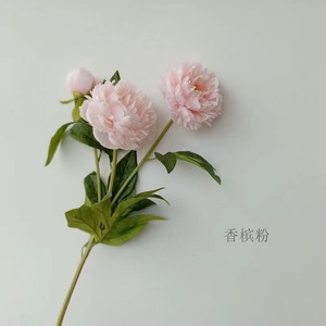 <span class=keywords><strong>Fleur</strong></span> <span class=keywords><strong>de</strong></span> pivoine artificielle réaliste <span class=keywords><strong>de</strong></span> luxe 2025, <span class=keywords><strong>de</strong></span> haute qualité, longue durée, tige unique, <span class=keywords><strong>bouquet</strong></span> pour la Saint-Valentin - Product Image 3