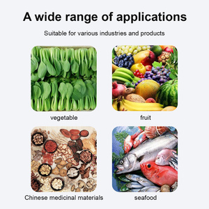 Máquina Lavadora de Burbujas Industrial Totalmente Automática para Pulpa de Coco, Maíz, Frutos Secos, Vegetales y Frutas con Soplador de Aire y Elevador - Product Image 3