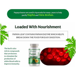 Tabletas Adelgazantes de Enzimas de Hoja de Papaya Carica de Alta Calidad, Suplemento Herbal que Aumenta la Digestión y el Sistema Inmunológico, Tableta de Papaya - Product Image 4