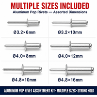 Kit de rivets aveugles à extrémité ouverte, corps en aluminium, mandrin en acier, rivets multi-tailles, norme DIN, plage de préhension 20-500, pour métal et bois