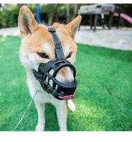 Grande muselière de protection pour chien, anti-morsure et anti-mastication, pour toilettage et dressage