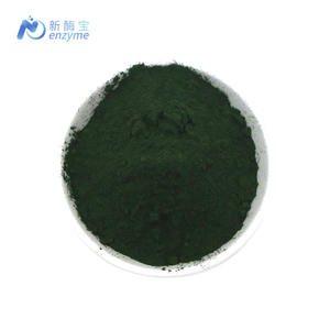 Novenzyme - Chlorella Vulgaris Orgánica en Polvo al por Mayor, 70% de Proteína - Product Image 1