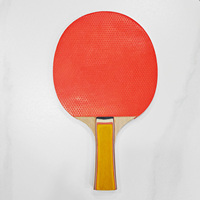 Fabrikpreis Professionelles 6-Schicht-Tischtennisschläger-Set mit Lindenholzkern ITTF-Zugelassene Gummibälle für Training und Außeneinsatz