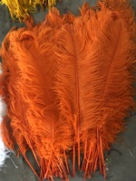 Plumes d'autruche en gros, grandes (75-80 cm), blanches, vertes, noires, roses, écologiques, faites à la main, pour décoration Art Déco, artisanat DIY et fêtes