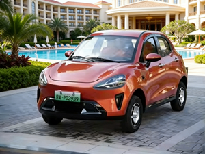 Mini Coche Eléctrico Superior de Baja Velocidad, 4 Asientos, 3000W-5000W, Totalmente Cerrado, Nueva Energía, 100-500km de Autonomía con Radar de Marcha Atrás - Product Image 3