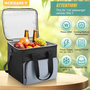15L Portable Cooler Bag Car Cooler Watertight Liner Bag Soft Sided Thermoelectric Travel Cooler with Shoulder Strap - Product Image 2
