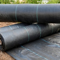 Toile anti-herbe robuste en PP tissé pour terres agricoles et serres