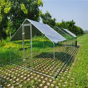 12.8x9.8x6.5 ft Large Area for Duck Coops and Rabbit Runs