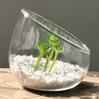 Vase en verre à bouche oblique transparent créatif Micro paysage bricolage ornement décoration de maison et de mariage