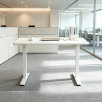 Produits Populaires 2026 : Cadre de Bureau Ergonomique Motorisé Silencieux de Qualité Commerciale, Disponible en 3 Couleurs