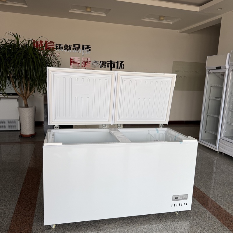 Hot Sale Compressor Mini Fridge With
