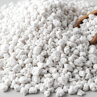 Perlite blanche de qualité horticole, agrégat léger pour l'amélioration du sol de jardinage et support de culture