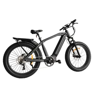 स्टीमून 2024 1000w मिड ड्राइव बाफैंग m620 1000w फैट टायर बाइक डर्ट ईबाइक ई बाइक इलेक्ट्रिक साइकिल माउंटेन बाइक शिकार के लिए