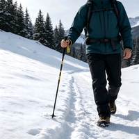 Ultra Hafif Karbon Fiber Trekking Batonu, Tungsten Çelik Uçlu, 4 Bölümlü Düz Kavrama Tasarımlı, Yürüyüş, Tırmanış ve Arazi Koşusu İçin