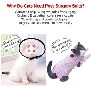 Vêtements pour animaux de compagnie en polyester sans manches, combinaison de récupération professionnelle pour chiens et chats après une opération, vêtements de récupération post-opératoire respirants pour animaux de compagnie - Product Image 3