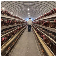 Bâtiment d'élevage de poules pondeuses et poulailler en structure légère en acier, bâtiment agricole