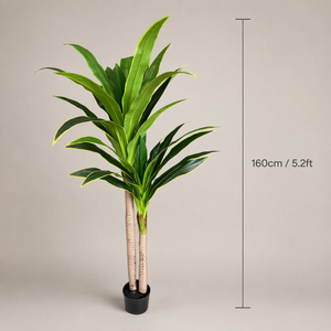 Dracaena Artificial al por Mayor, Árbol de <span class=keywords><strong>Limón</strong></span> Falso en Maceta, Planta de Maíz Artificial, Dracaena Falsa para Decoración de Interiores - Product Image 5