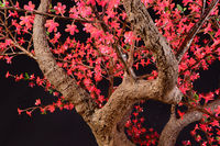 Ornamen Bunga Natal Luar Ruangan dari Resin Buatan China, Tinggi 3.5m, IP65, Lampu Epistar 3500K Putih Hangat, Bentuk Bunga Sakura
