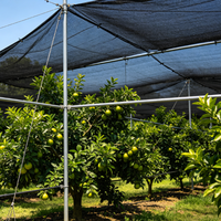 Filet pare-soleil noir tricoté respirant résistant aux UV, enroulable, pour la protection des plantes et des vergers