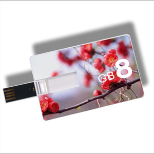 Customized Business Card <b>USB</b> <b>Flash</b> <b>Drive</b> 8GB <b>USB</b> 2.0 Personalized Promotion - Product Image 1