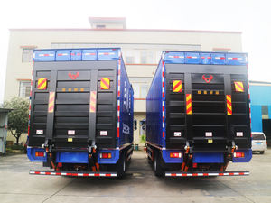 Plataforma Elevadora de Cola en Cantilever, Elevador Hidráulico para Entrega de Última Milla y Camioneta de Carga - Product Image 5