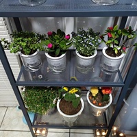 Pot de plante rond en plastique transparent auto-arrosant pour plantes succulentes, pour jardin et usage domestique, emballé en carton
