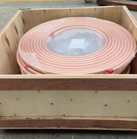 Tube en spirale en acier inoxydable industriel / Tube de refroidissement en spirale anti-moustiques / Évaporateur de vapeur / Systèmes de refroidissement d'échangeurs de chaleur / Vapeur