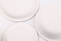 Vente en gros d'ensemble de gobelets et d'assiettes jetables de 12 oz, vaisselle blanche épaissie à paroi unique pour pique-nique et desserts