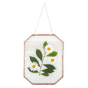 <span class=keywords><strong>Cadre</strong></span> <span class=keywords><strong>photo</strong></span> mural octogonal flottant double en <span class=keywords><strong>laiton</strong></span> doré et <span class=keywords><strong>verre</strong></span> transparent pour fleurs séchées - Product Image 1
