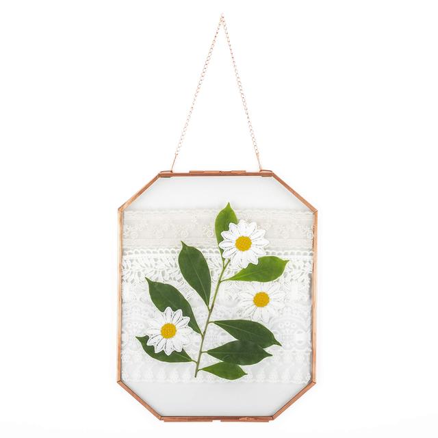 Double Clear Floating Octagon Geometric Gold Brass Glass Frame for Dried Flowers Wall Hanging Gold Brass Photo Frame
