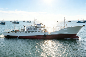 Barco Pesquero Comercial Grandsea <span class=keywords><strong>de</strong></span> 150 pies/45 m, <span class=keywords><strong>de</strong></span> Acero, para Pesca <span class=keywords><strong>de</strong></span> Atún, <span class=keywords><strong>en</strong></span> <span class=keywords><strong>Venta</strong></span> - Product Image 4
