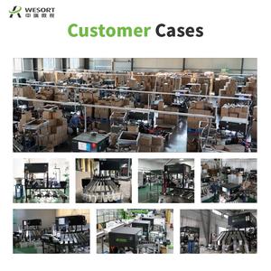 WESORT Automatische Farb sortiermaschine 500/1000Kg 1000Kg/Day Line für die Verarbeitung von Sesam kastanie Haselnuss Walnuss Erdnuss nuss - Product Image 5