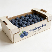 Hoge kwaliteit stevige recyclebare verpakking van gerecycled papier voor fruit (blauwe bessen, sinaasappels, bananen, kersen)