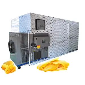 Baixin1500kgドラゴンフルーツパパイヤバナナチップストレイドライヤー機器Plcコントロール柑橘類パルプオオバコ乾燥オーブン