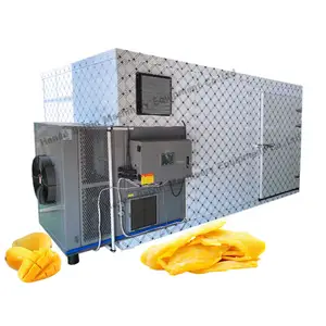 Baixin nampan pengering pisang pepaya buah naga 1500kg peralatan Plc kontrol Citrus Pulp plaintain Oven pengering