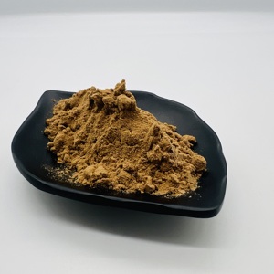 ผงสกัดจากเห็ดคอริอูลัส เวอร์ซิคัลเลอร์ (Turkey Tail) ที่ปลูกแบบธรรมชาติ โพลีแซ็กคาไรด์ 38% - Product Image 2