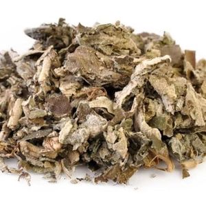 DA Ye Zi Zhu bigleaf beautyberry Leaf ก้านธรรมชาติ Callicarpa macrophylla - Product Image 1